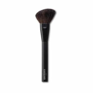 Blush Brush