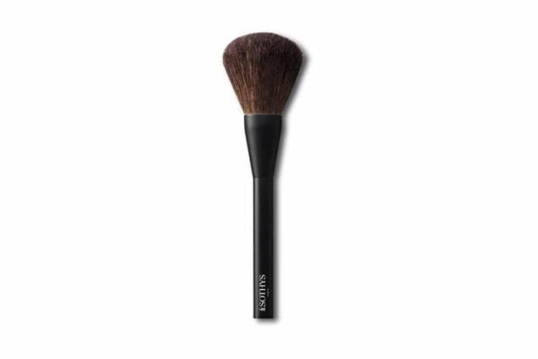 Pinceau_poudre_fullsize_2978 Pinceau_poudre_fullsize_2978
